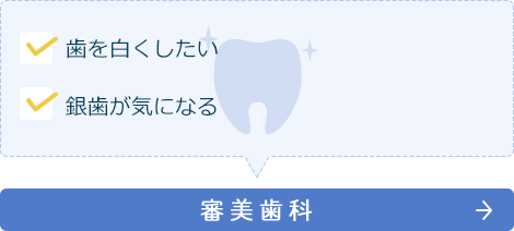 審美歯科